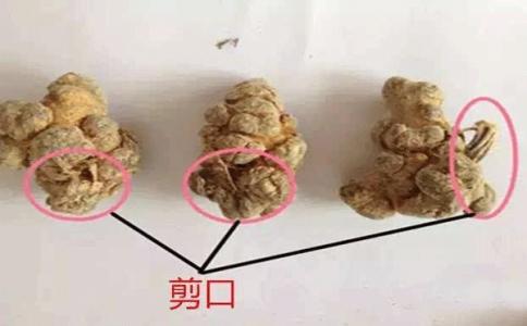 老年人吃什么三七粉